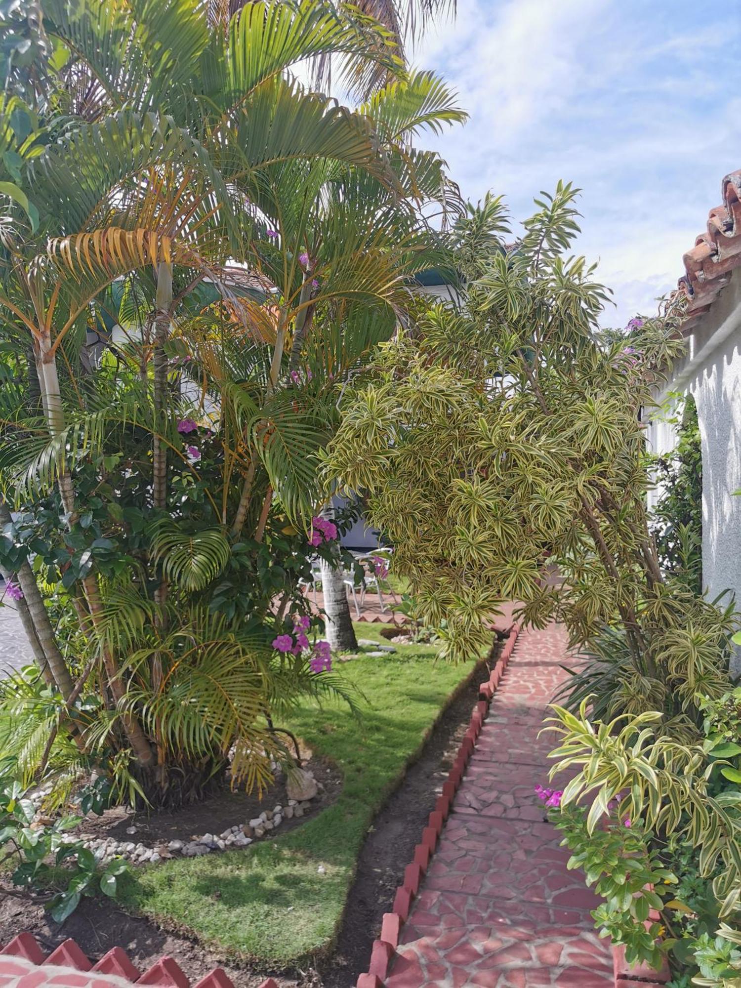 הונדה Casa Frasser מראה חיצוני תמונה
